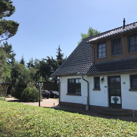 Haus Hugo Zingst Leilighet Eksteriør bilde